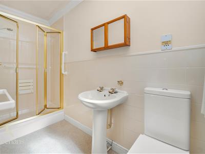 Picture 8